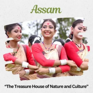 Assam Destination Feature Banner