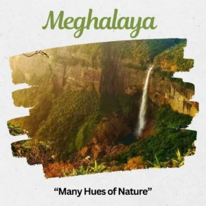 Meghalaya Destination Feature Banner