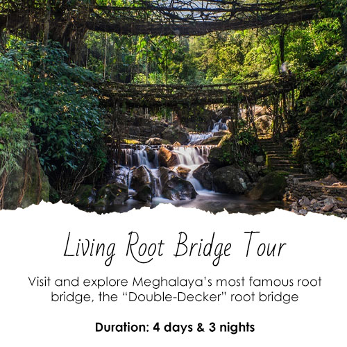 Living Root Bridge Tour Feature Image