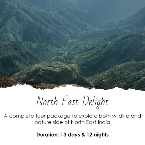 North East Delight 13 Dasy - 12 Nights Feature Image