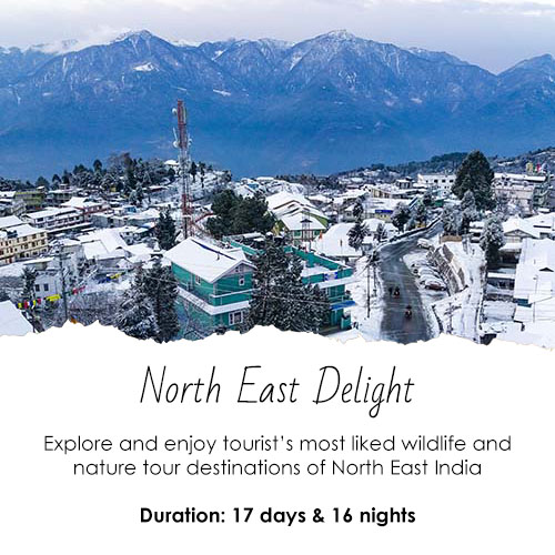 North East Delight Feature Image