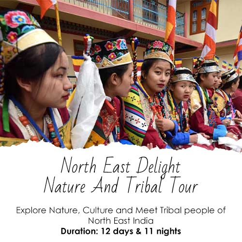 North East Delight – Nature And Tribal Tour Feature Image