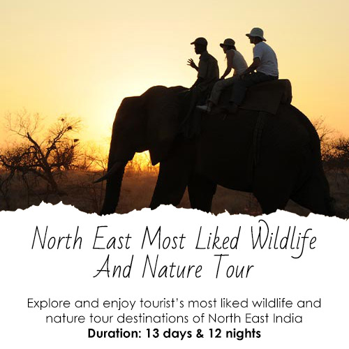 North East Most Liked Wildlife Nature Tour Featured Image