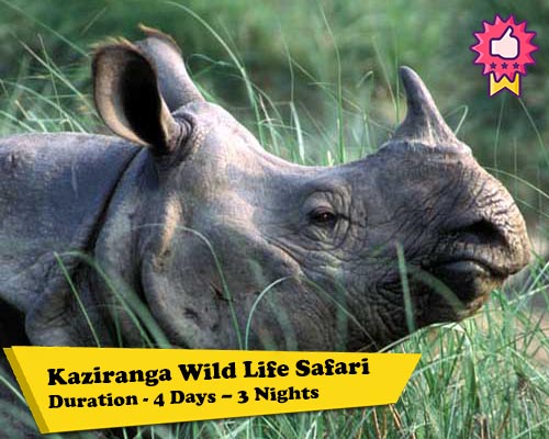 Kaziranga Wild Life Safari Tour Home Banner