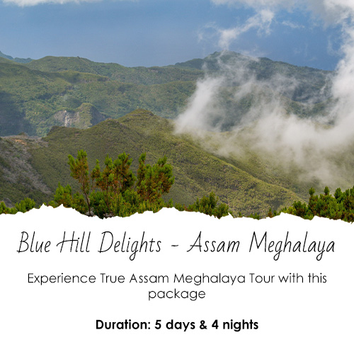 Blue Hill Delights - Assam Meghalaya (4 Nights & 5 Days)