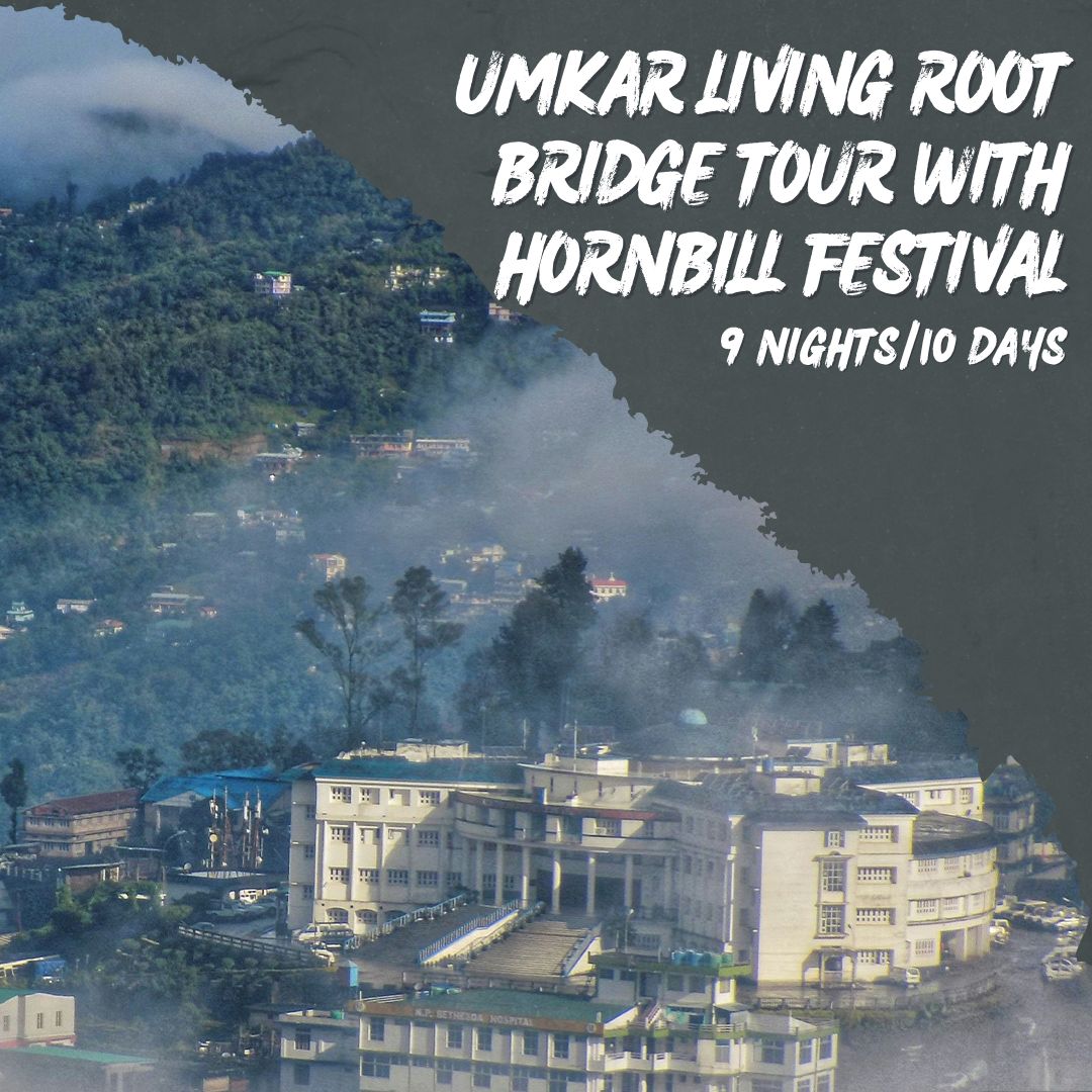 Umkar Living Root Bridge Tour with Hornbill Festival Feature Image
