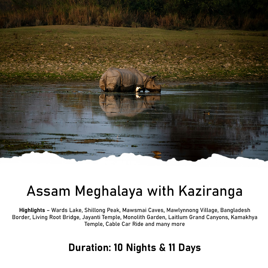 Assam Meghalaya with Kaziranga (10 Nights - 11 Days) Feature Image Assam Meghalaya with Kaziranga (10 Nights - 11 Days) Feature Image